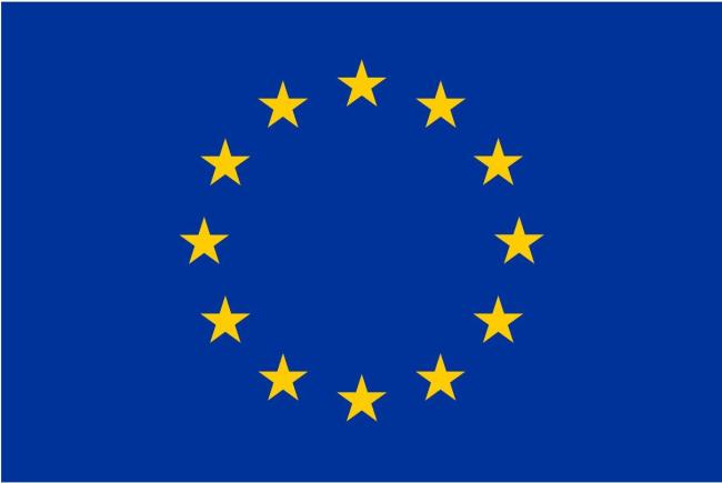 EU Logo