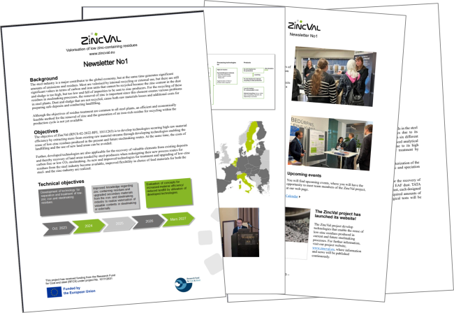 ZincVal Newsletter No1 2025